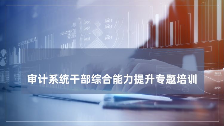 审计系统干部综合能力提升培训专题