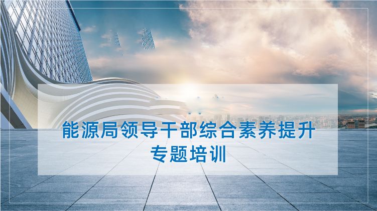 能源局领导干部综合素养提升培训专题